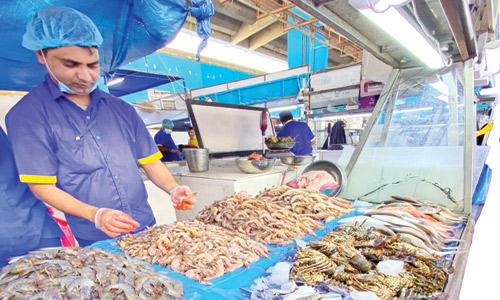 أسماك جدة «وفرة» و «تنوع» واستقرار أسعار